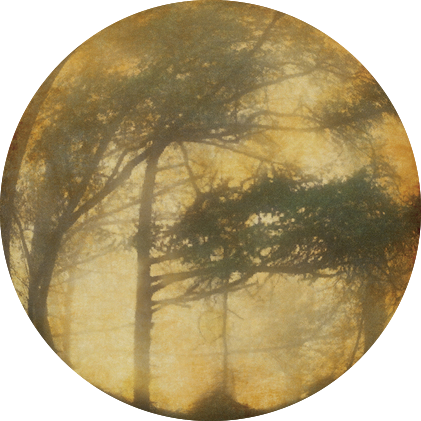 Golden Void