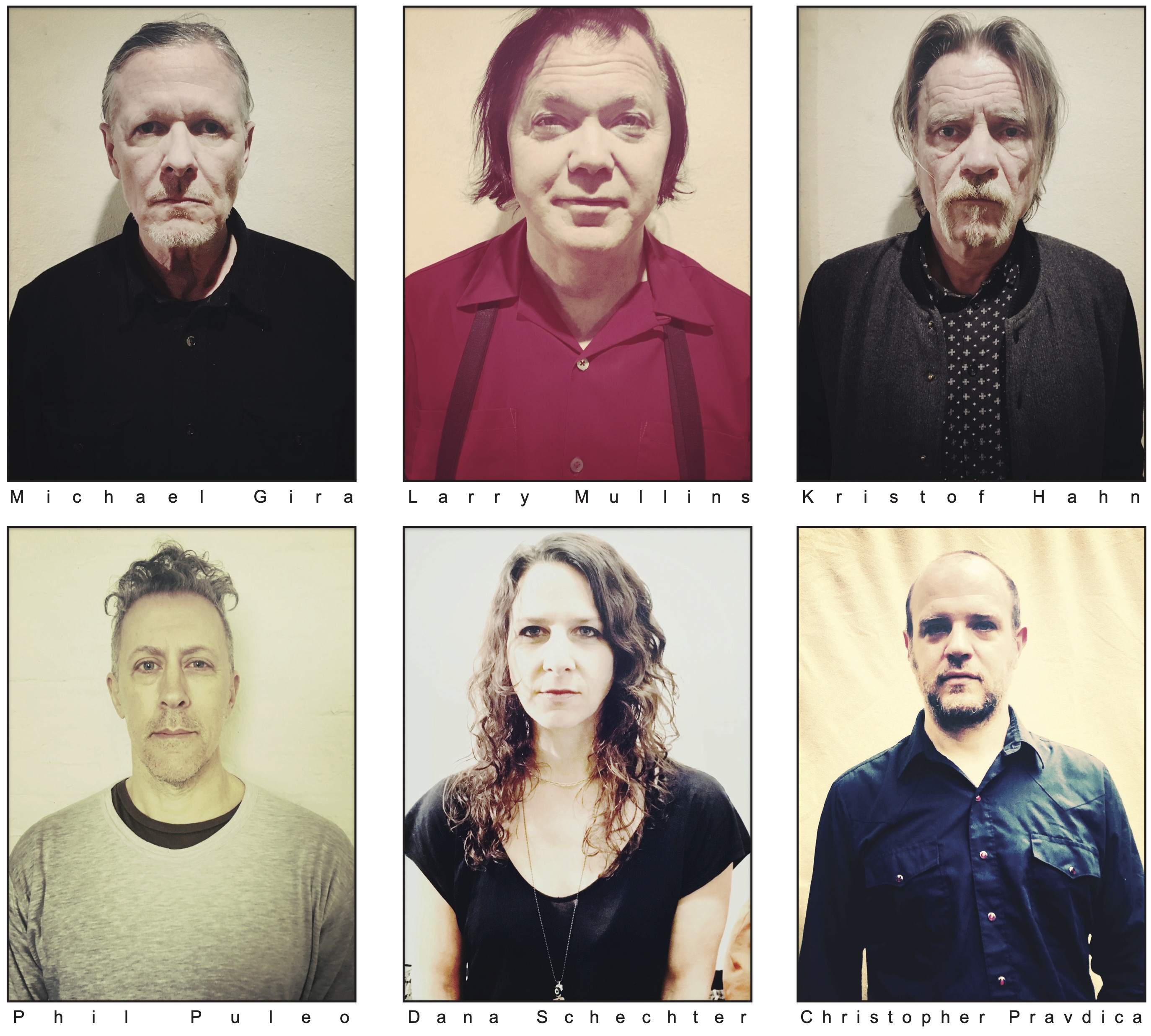Swans
